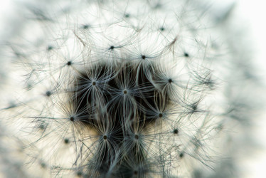 Similar image 19192243