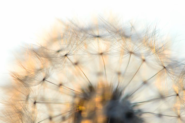 Similar image 19192237