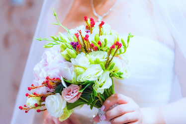 Similar image 19192584