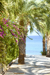 Similar image 19189448