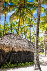 Similar image 19189502