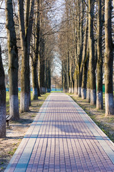 Similar image 19189528