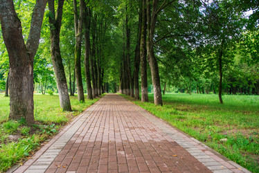 Similar image 19189687