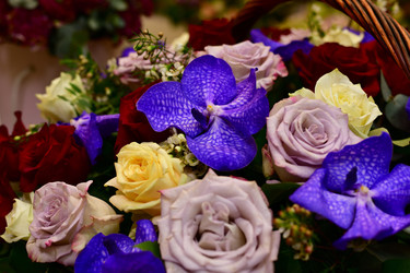 Similar image 19200144