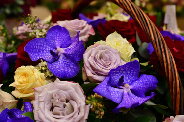 Similar image 19200145