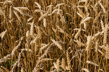 Similar image 19195949