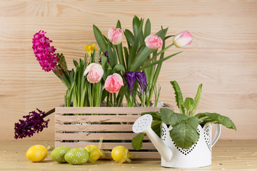 Similar image 19199896