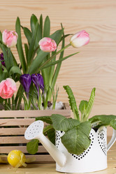 Similar image 19199897