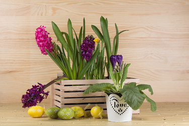 Similar image 19199901