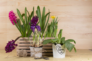 Similar image 19199903