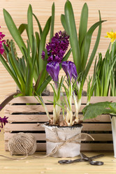 Similar image 19199906