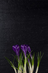 Similar image 19199910