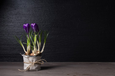 Similar image 19199933