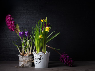 Similar image 19199934