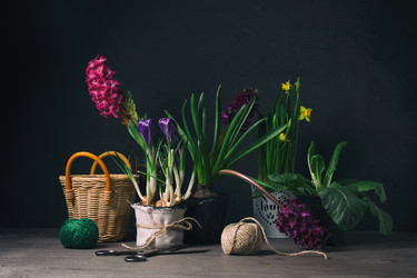 Similar image 19199936