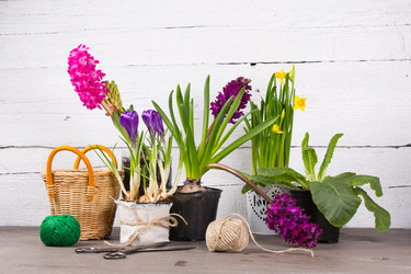 Similar image 19199937