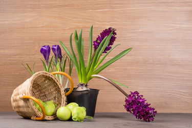 Similar image 19199939