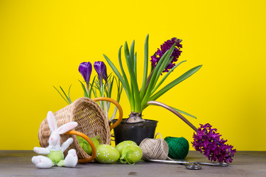 Similar image 19199965