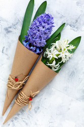 Similar image 19514974