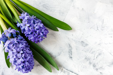 Similar image 19514998