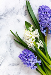 Similar image 19515011