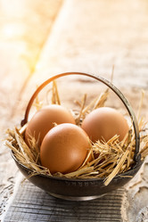 Similar image 19202025