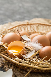 Similar image 19202055