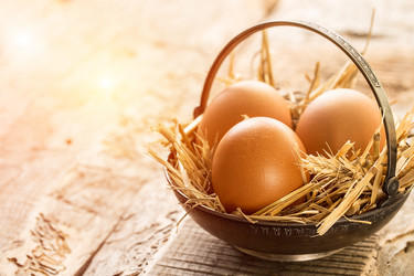 Similar image 19201930