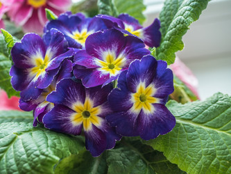 Similar image 19775349