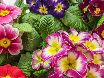 Similar image 19775351