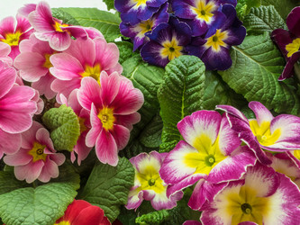 Similar image 19743151