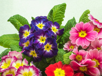 Similar image 19743180