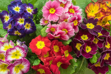 Similar image 19743181