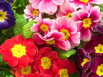 Similar image 19743189