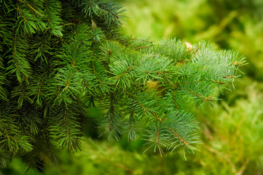 Similar image 19196149