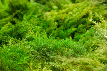 Similar image 19196150