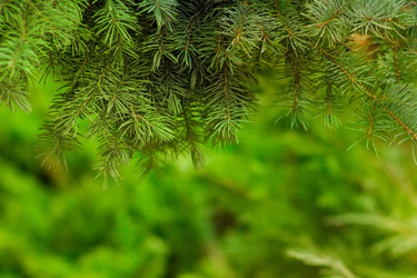 Similar image 19196164