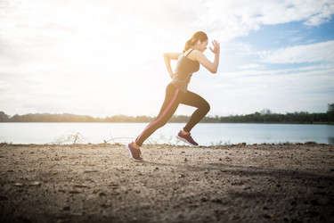 Similar image 19742580