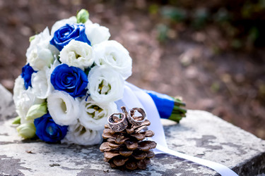 Similar image 19743215