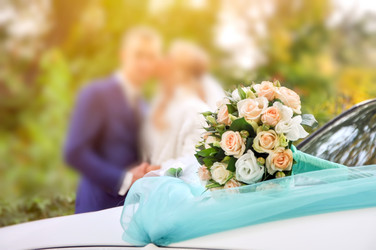 Similar image 19743226