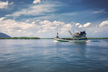 Similar image 19742601