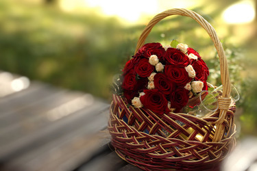 Similar image 19743250