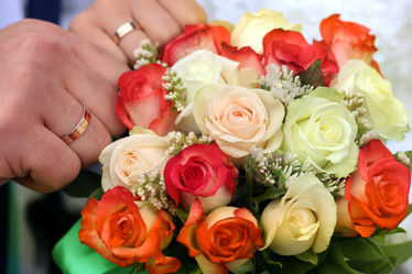 Similar image 19743251