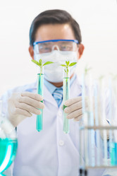 Similar image 19582924