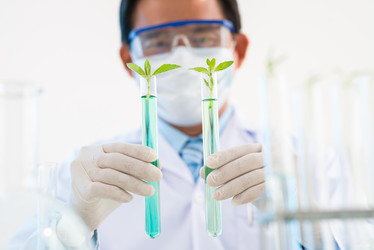 Similar image 19582926