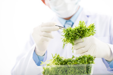 Similar image 19582931