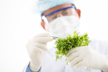 Similar image 19582932