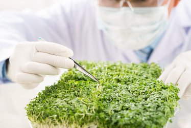 Similar image 19582940