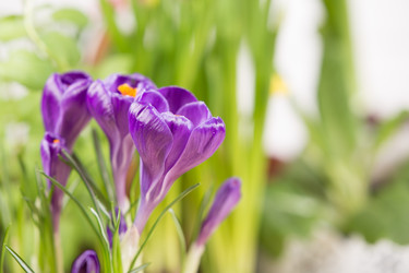 Similar image 19199922