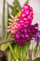 Similar image 19199862